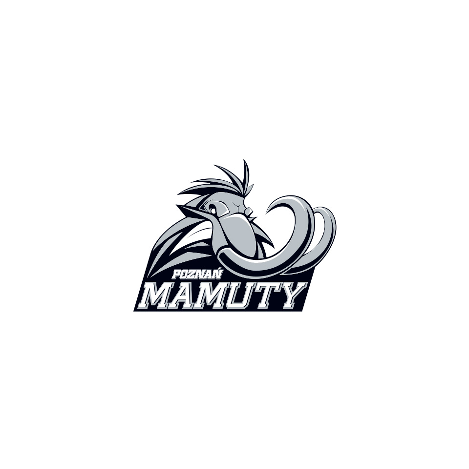 Galeria projektu Mamuty Hockey Team