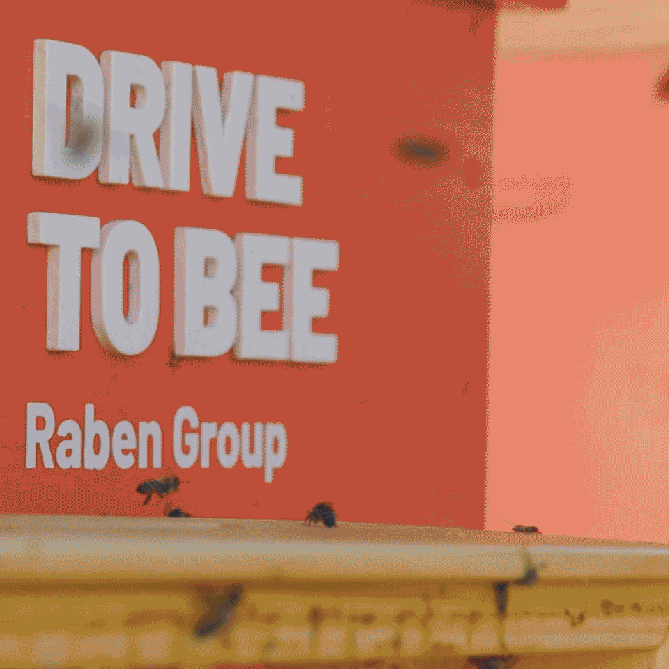 Galeria projektu Drive to Bee