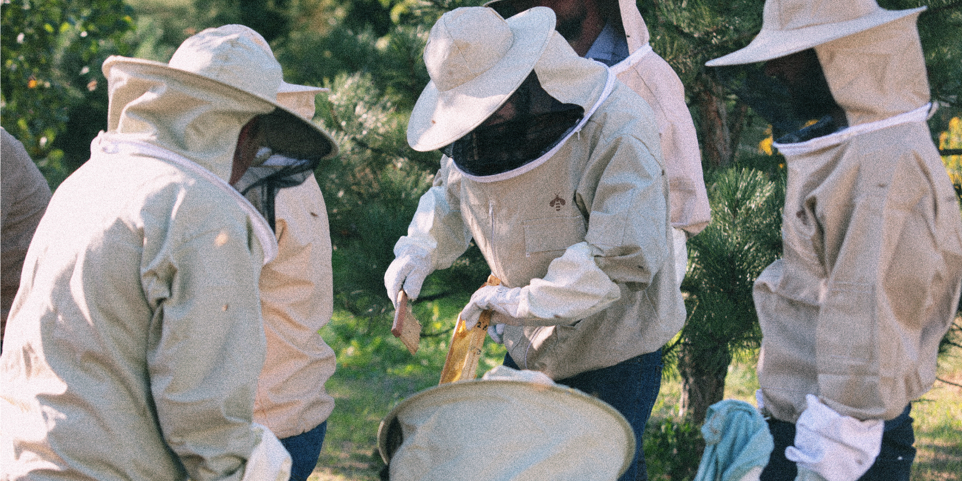 Galeria projektu Pasieka Mikołajczak