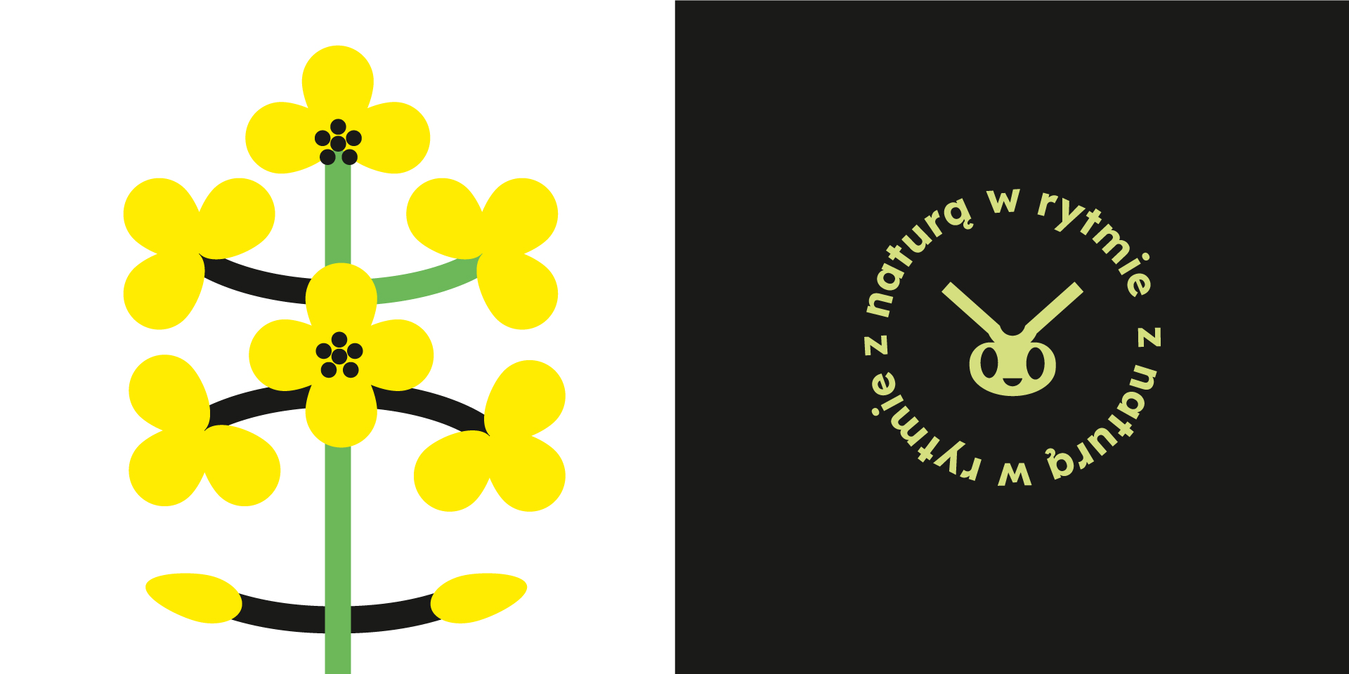 Galeria projektu Pasieka Mikołajczak