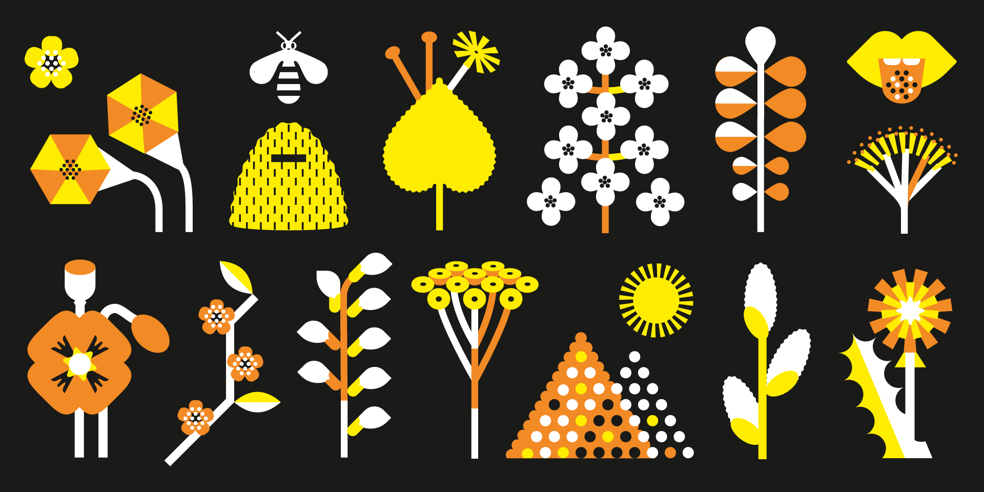 Galeria projektu Pasieka Mikołajczak