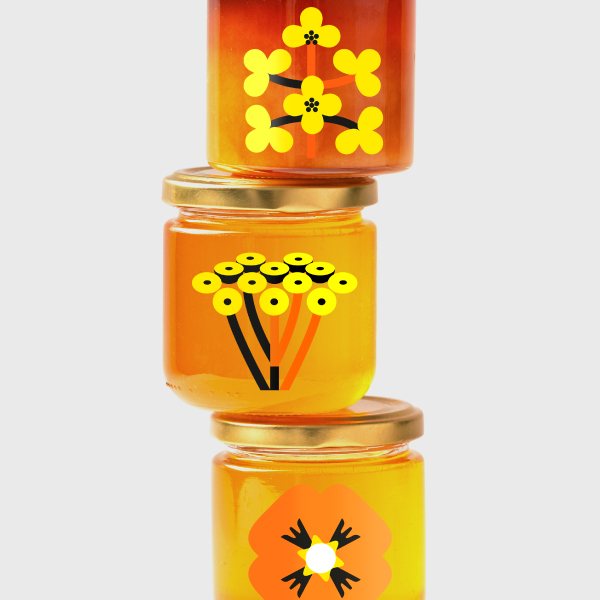 Pasieka Mikołajczak